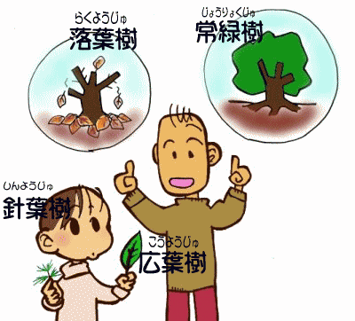 せつめい
