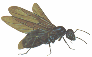 �����A��